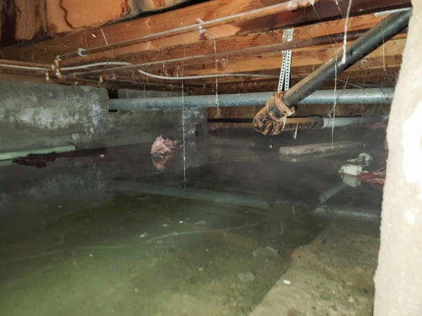 Best Sewage cleanup and water damage restoration  in Clintondale, NY
