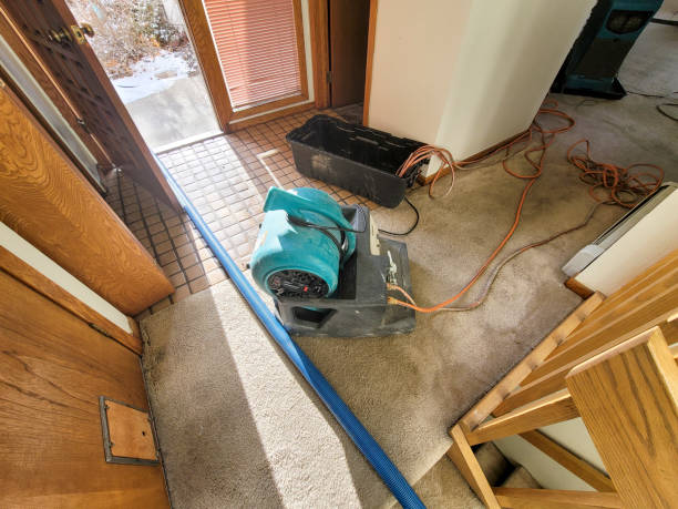 Best Local water damage restoration  in Clintondale, NY