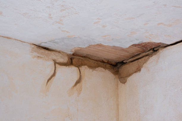 Best Water damage contractors near me  in Clintondale, NY
