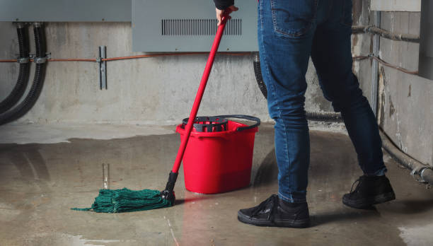Best Water damage restoration process  in Clintondale, NY