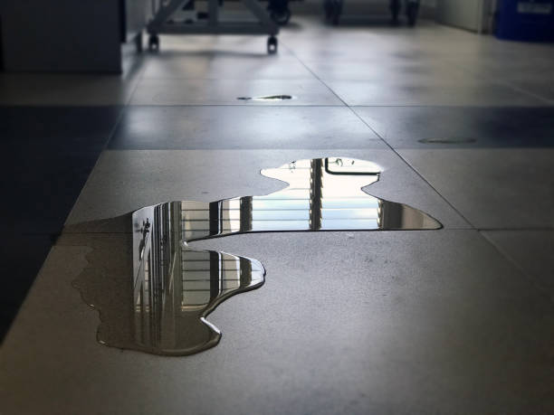 Water damage restoration insurance claims in Clintondale, NY