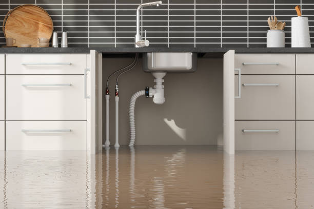 Best Water damage restoration near me  in Clintondale, NY