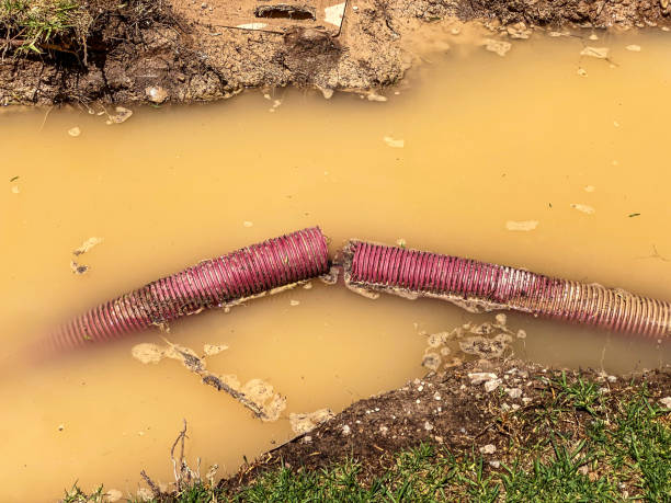 Water damage restoration mold remediation in Clintondale, NY