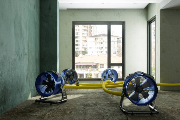 Best 24-hour water damage restoration  in Clintondale, NY
