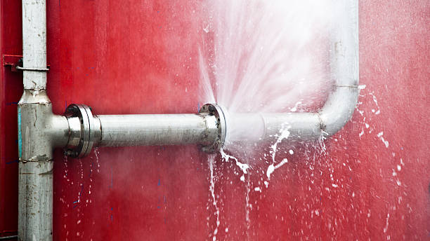 Best Water damage restoration specialists  in Clintondale, NY