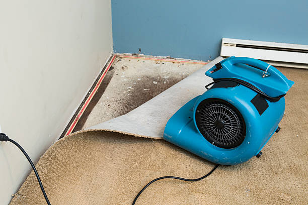 Best Flood damage cleanup  in Clintondale, NY